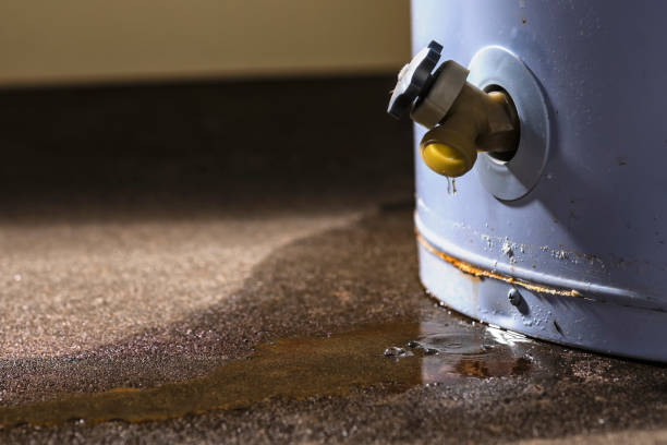 Best Water damage contractors near me  in Victoria, TX