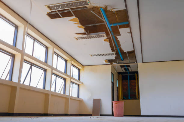 Best Mold removal after water damage  in Victoria, TX