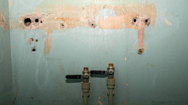 Best 24-hour water damage restoration  in Victoria, TX